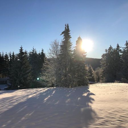BocksbergGlück in Hahnenklee, Endreinigung, bezogene Betten, Handtücher inklusive Goslar Exterior foto